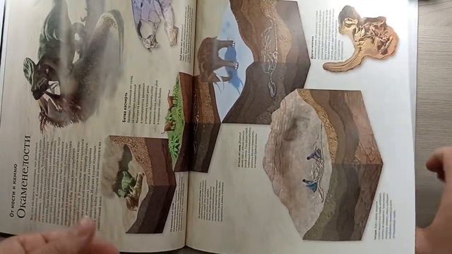 Обзор книги "Динозавры. Самые красивые и знаменитые" смотреть онлайн