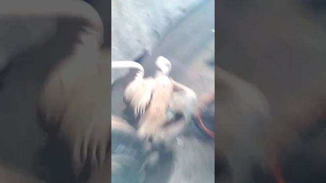 Как вдавить тормозной цилиндр смотреть онлайн