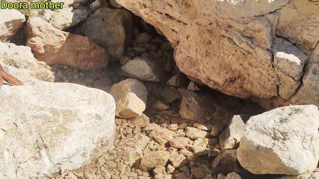 Cooking Food For A Nomadic Family In The Mountains.2024