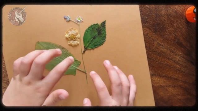 Экибана своими руками смотреть онлайн