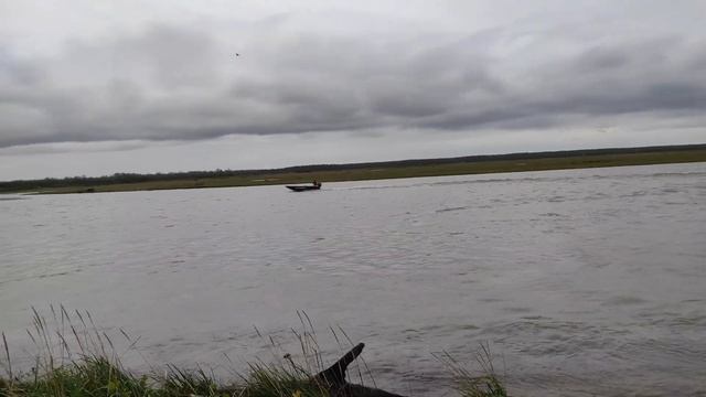 лодка ПНД Призма 4500 под водометом Ямаха 30 смотреть онлайн