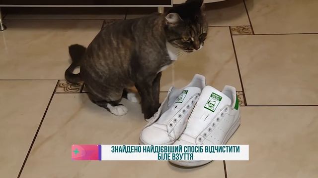 Знайдено найдієвіший спосіб відчистити біле взуття смотреть онлайн