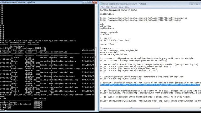 Pengenalan SQL pada SQLite menggunakan Database HR смотреть онлайн