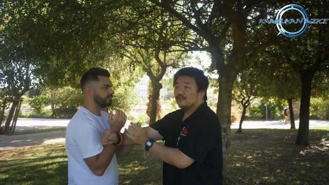 How to apply Aikido in Fight/Come applicare l'Aikido in combattimento: " Drill and Kotegaeshi" смотреть онлайн
