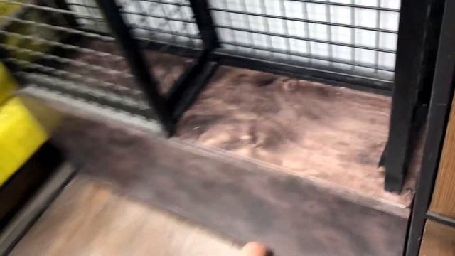 СТИЛЬНЫЙ ШКАФ ИЗ МУСОРА ПОД РУКОЙ ♻️ Мебель из фанеры своими руками | DIY смотреть онлайн