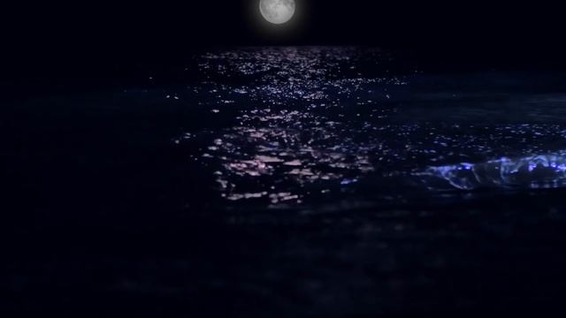 Night OCEAN WAVES Sounds For Relaxation And Deep Sleep [3 HOURS]