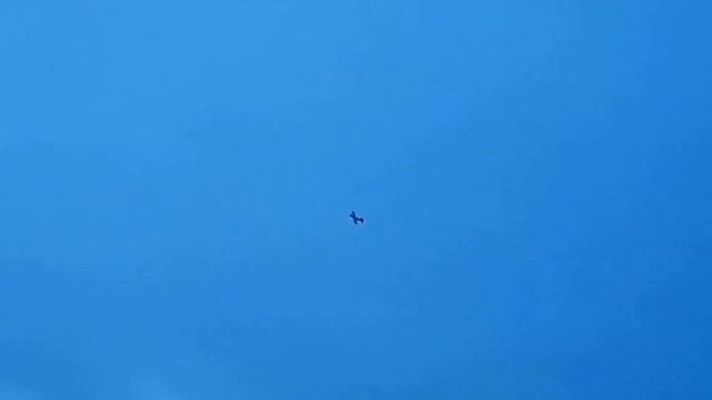 Модель самолета Sbach 300 950 для Николая / ALNADO