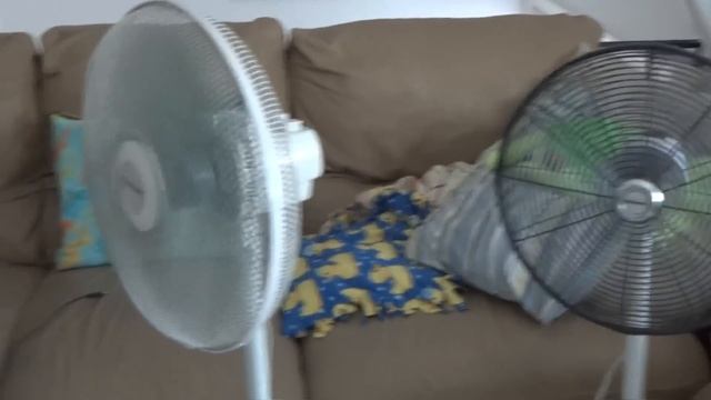 My Portable Fan Collection of 2012 смотреть онлайн