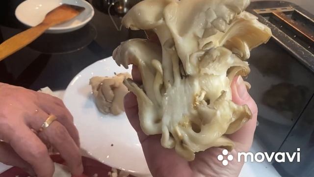 Как посолить скумбрию и кушать через 4-5 часов! Как мы жарим грибы вешенки! смотреть онлайн