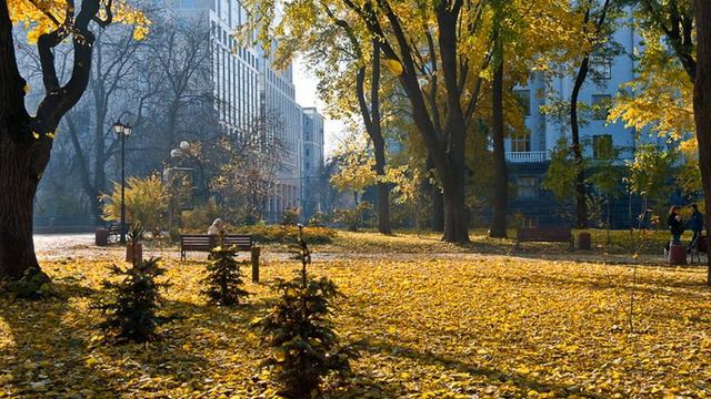 Киев, осенние пейзажи. смотреть онлайн