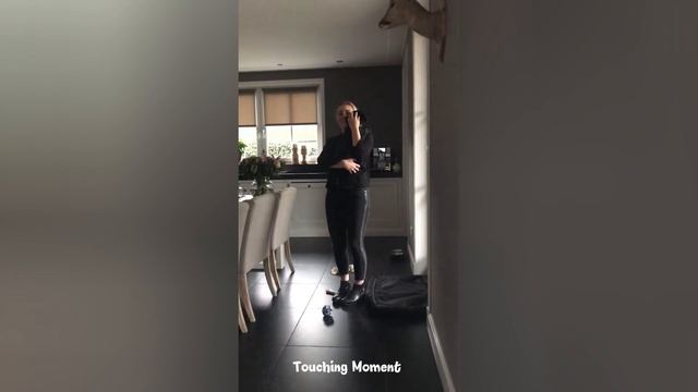 Best New Puppy Surprise Compilation #58 | Touching Moment смотреть онлайн