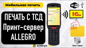 Мобильная печать с ТСД. Принт-сервер Allegro
