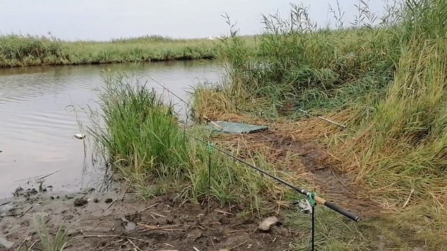 Как меняется клев рыбы в пасмурную погоду смотреть онлайн