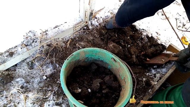 Надолбил Землю, чтобы посадить Перец. смотреть онлайн
