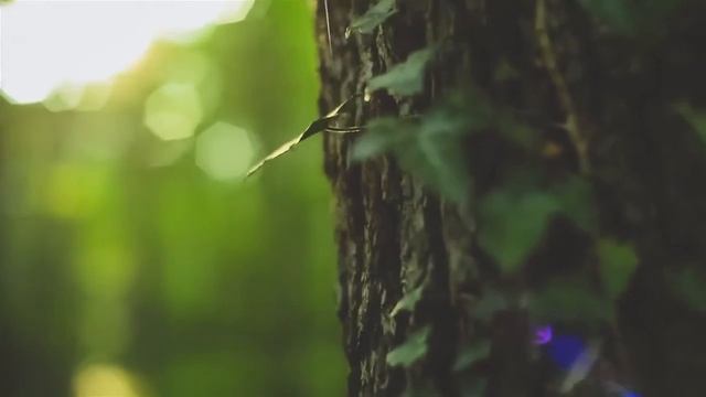 Жилой комплекс Горизонт-Плаза город Ялта (продажа квартир) смотреть онлайн