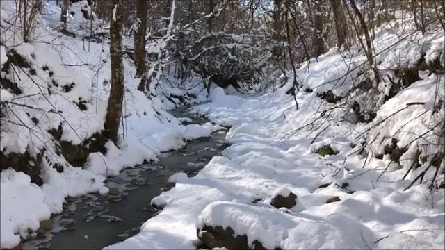 Снится березка ему смотреть онлайн