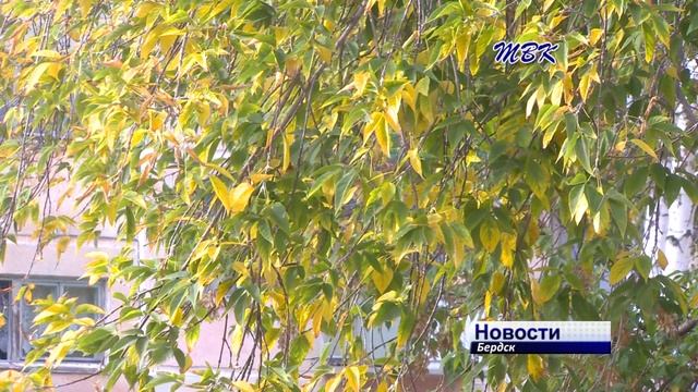 Когда день равен ночи... 22 сентября – день осеннего равноденствия смотреть онлайн