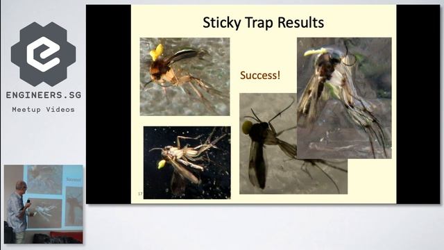 The Hunt for the Elusive Fungas Gnat - Hackware v5.0 смотреть онлайн