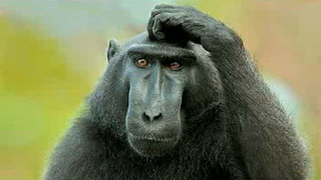 Рузов В О Травматология духовной жизни 9 часть девятая смотреть онлайн