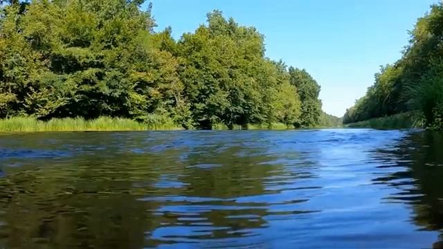 #relaxing music#релакс музыка #музыка для сна музыка природы смотреть онлайн