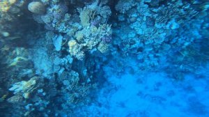 Обзор отеля Renaissance Golden View Beach Sharm el shaikh
