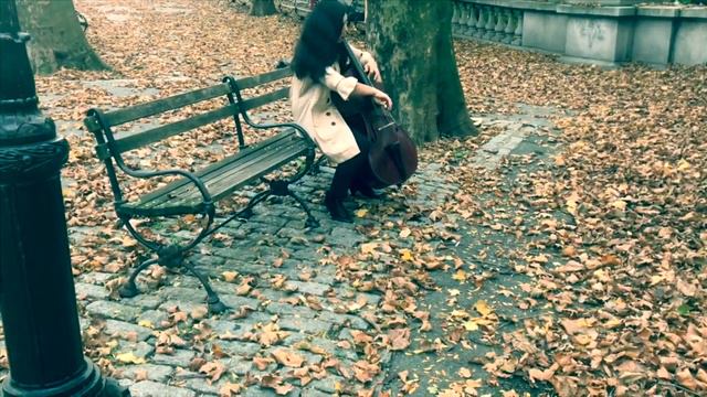 Shallow -Lady Gaga- Bradley Cooper (A Star Is Born)-Cello Cover смотреть онлайн