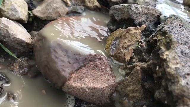 Бетоновоз смотреть онлайн