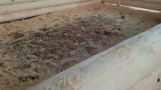 Готовый сруб 4×6 "в лапу" (кругляк) смотреть онлайн