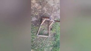 приспособа для мотоблока, меняем колеса на фрезы и наоборот в одну харю:)