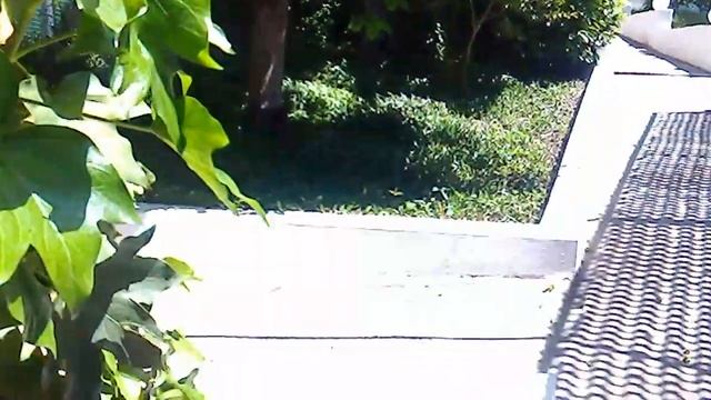 ЛАЗАРЕВСКОЕ.НИЖНИЙ ДВОР ДОМА БИРЮЗОВАЯ БЕЗДНА. смотреть онлайн