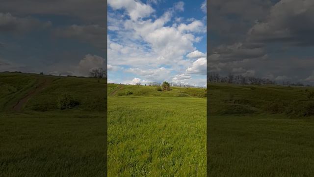 Наслаждение и вдохновение смотреть онлайн