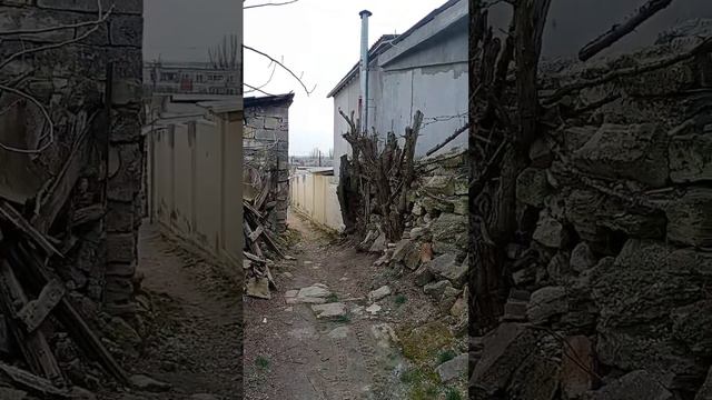 Прогулка с собакой смотреть онлайн