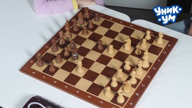 ШАХ И МАТ! Дебют, часть 1