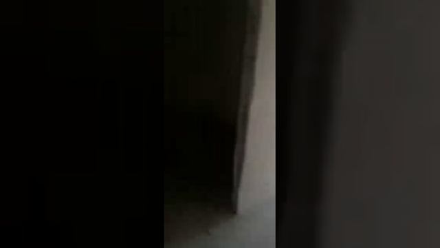 Сокол Град смотреть онлайн