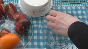 Этот томат не подведет никогда, сорт Бетта.