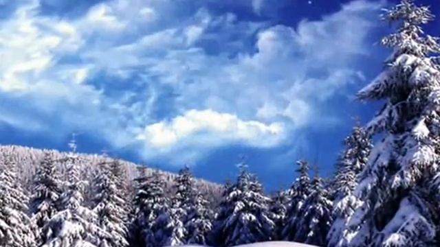 Зимний Лес смотреть онлайн