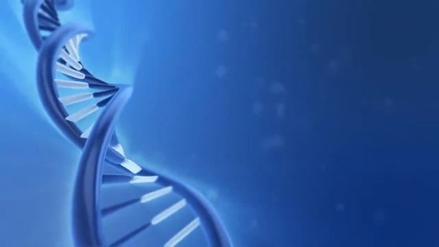 Мы можем изменить ПРОШЛОЕ Эксперимент Джо Диспенза Сила подсознания смотреть онлайн