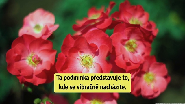 Abraham Hicks - Jak Tomu Uvěříte, Tak To Uvidíte