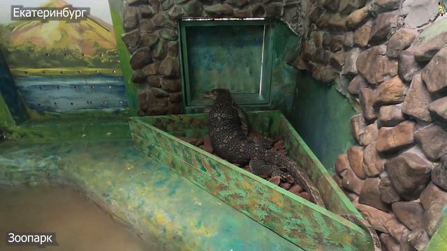 Зоопарк в Екатеринбурге #зоопарк смотреть онлайн