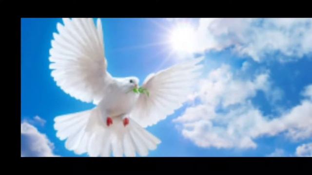 Ararat Leran ,Արարատ լեռան ձյունապատ սրտից։