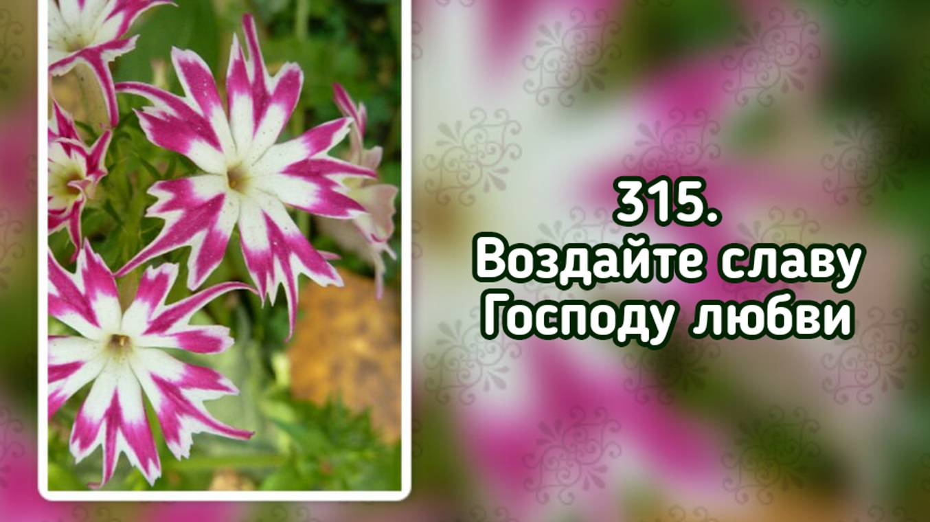 Гимны надежды 315 Воздайте славу Господу любви (-) смотреть онлайн