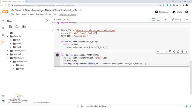Class 22 : Convolutional Neural Network - Build Cat Dog Classifier using CNN Part 1 смотреть онлайн