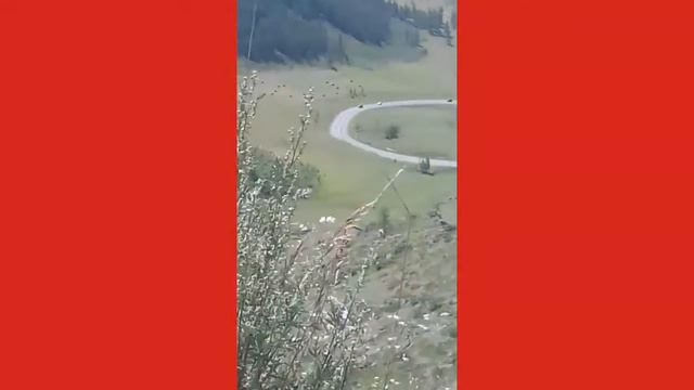 Тип первое видео смотреть онлайн