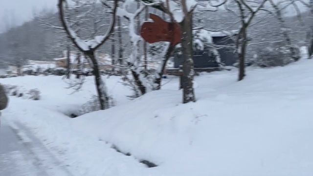 완벽한 설중캠핑❄ 겨울만 되면 눈으로 뒤덮이는 곳｜밤새 울리는 대설주의보.. 우리 오늘 괜찮을까..? смотреть онлайн