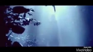 Витольд Петровский   Там нет меня