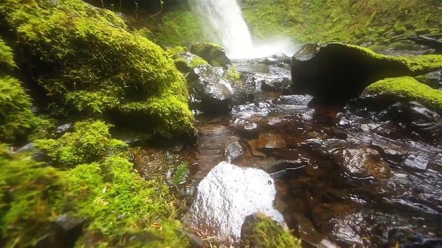 Magnolia Clubhouse Weekly News 3-8-21 (Episode 35) смотреть онлайн