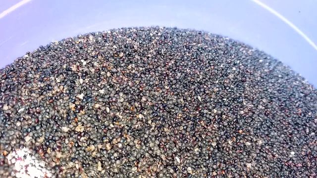 Цирковые Представления и Шоу