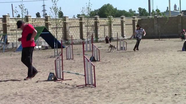 Спивак Елена Д0 смотреть онлайн