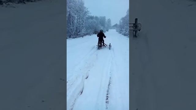 Самодельная коляска для мопеда Вираго смотреть онлайн