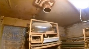 ? Как сделать недорого теплый и сухой курятник // Вентиляция и обогрев курятника